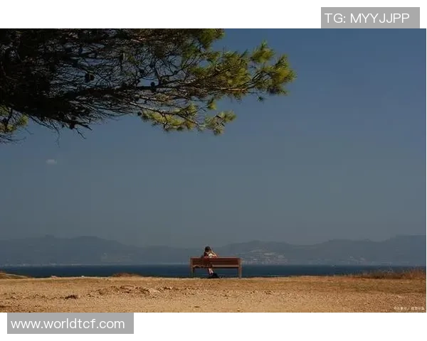 萨林杰的文学世界与人生哲学探讨：从孤独到自我救赎的旅程