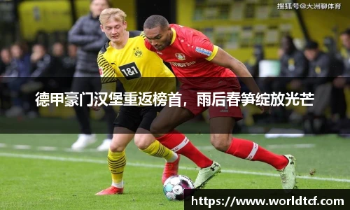 德甲豪门汉堡重返榜首，雨后春笋绽放光芒