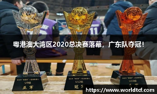 粤港澳大湾区2020总决赛落幕，广东队夺冠！